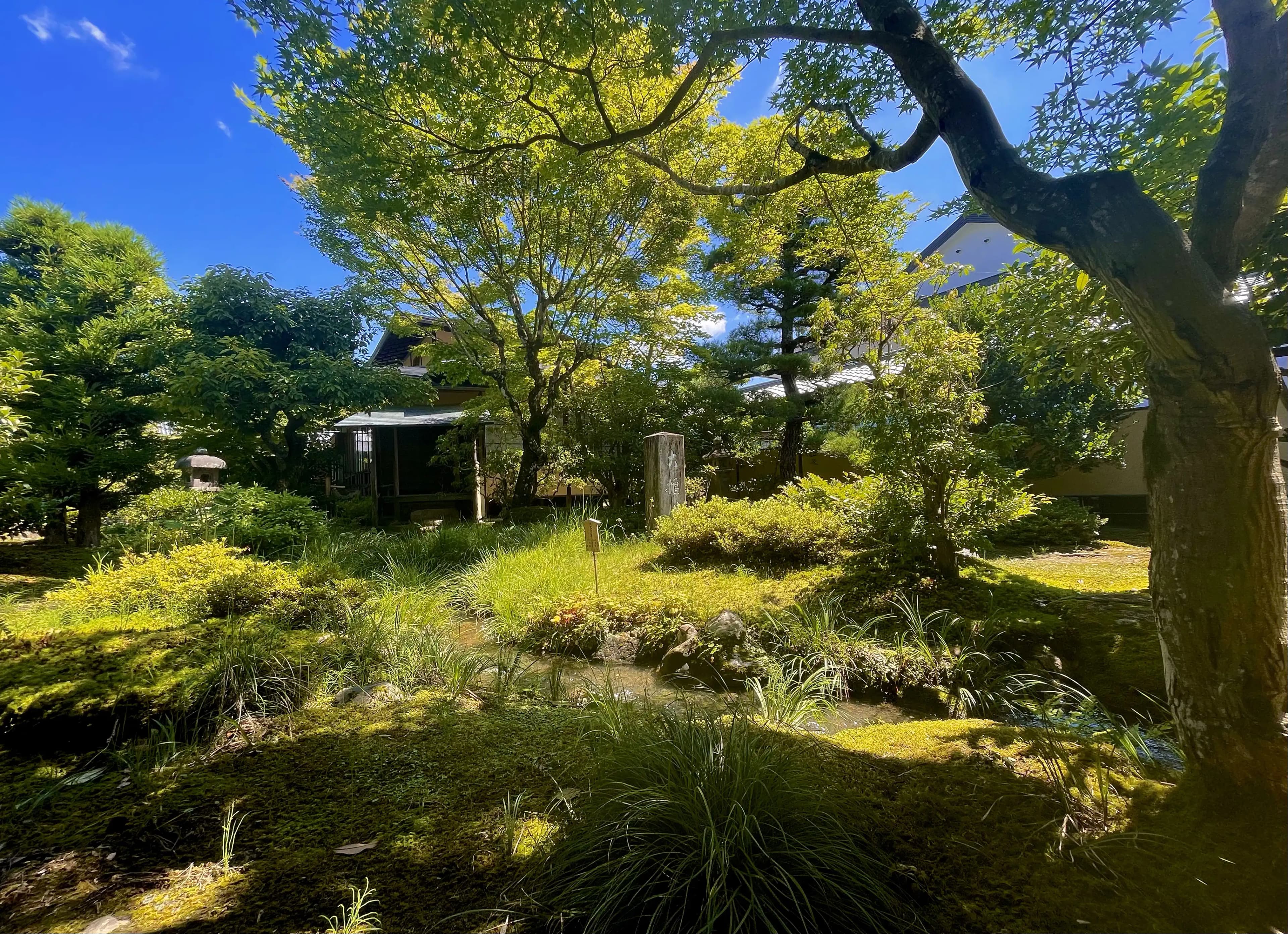 A Summer in Japan